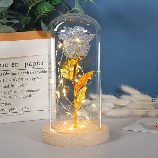Enternal Rose Flowers in Glass with LED Light - Perfect Valentine's Day or Mother's Day Gift for Her