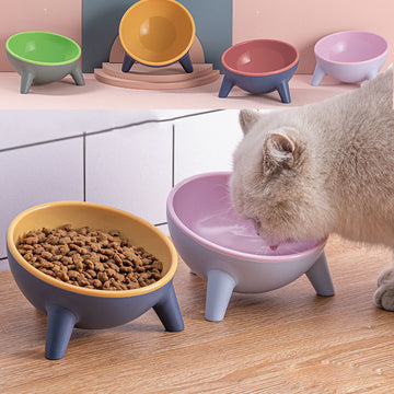 Nordic-Style Pet Bowl with Stand for Cats, Dogs, Bunnies, and Rabbits